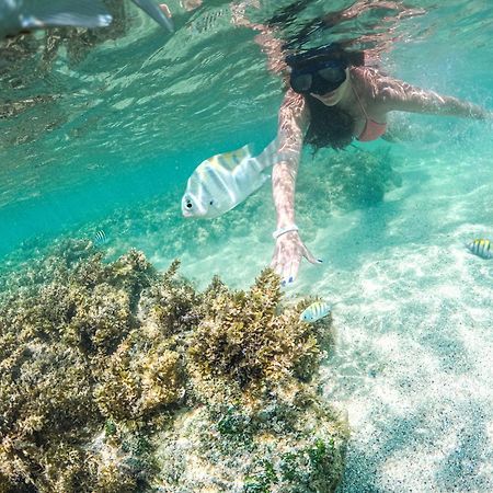 Gav Porto Alto Resort Pôrto das Galinhas المظهر الخارجي الصورة