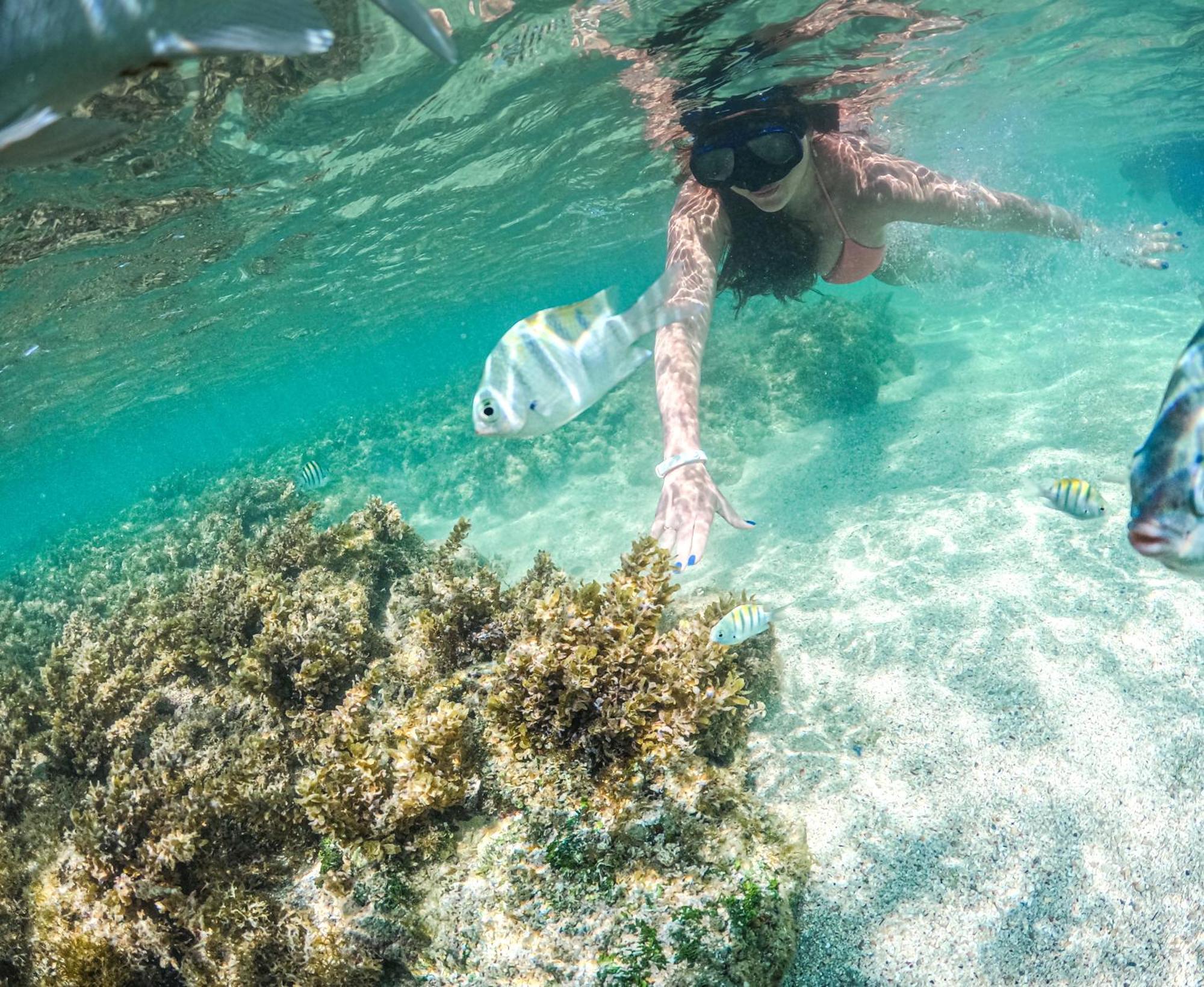 Gav Porto Alto Resort Pôrto das Galinhas المظهر الخارجي الصورة